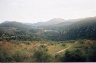 Αγροτεμάχια 42.000 τ.μ. για πώληση, Αργολίδα, Ασκληπιείο-thumb-6