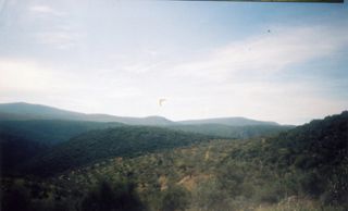 Αγροτεμάχια 42.000 τ.μ. για πώληση, Αργολίδα, Ασκληπιείο-thumb-10
