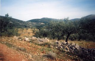 Αγροτεμάχια 42.000 τ.μ. για πώληση, Αργολίδα, Ασκληπιείο-thumb-11