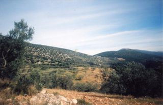 Αγροτεμάχια 42.000 τ.μ. για πώληση, Αργολίδα, Ασκληπιείο-thumb-16