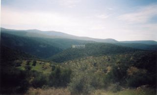 Αγροτεμάχια 42.000 τ.μ. για πώληση, Αργολίδα, Ασκληπιείο-thumb-9