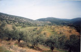 Αγροτεμάχια 42.000 τ.μ. για πώληση, Αργολίδα, Ασκληπιείο-thumb-17