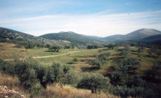 Αγροτεμάχια 42.000 τ.μ. για πώληση, Αργολίδα, Ασκληπιείο-thumb-20