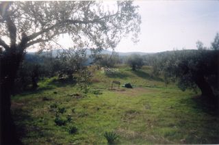 Αγροτεμάχια 42.000 τ.μ. για πώληση, Αργολίδα, Ασκληπιείο-thumb-5