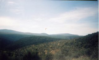 Αγροτεμάχια 42.000 τ.μ. για πώληση, Αργολίδα, Ασκληπιείο-thumb-8