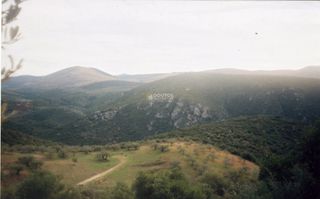 Αγροτεμάχια 42.000 τ.μ. για πώληση, Αργολίδα, Ασκληπιείο-thumb-2