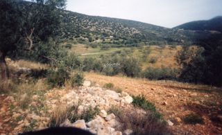 Αγροτεμάχια 42.000 τ.μ. για πώληση, Αργολίδα, Ασκληπιείο-thumb-21