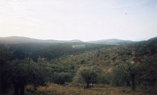 Αγροτεμάχια 42.000 τ.μ. για πώληση, Αργολίδα, Ασκληπιείο-thumb-7