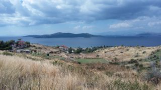 Αγροτεμάχια 5.000 τ.μ. για πώληση, Εύβοια, Στύρα-thumb-1