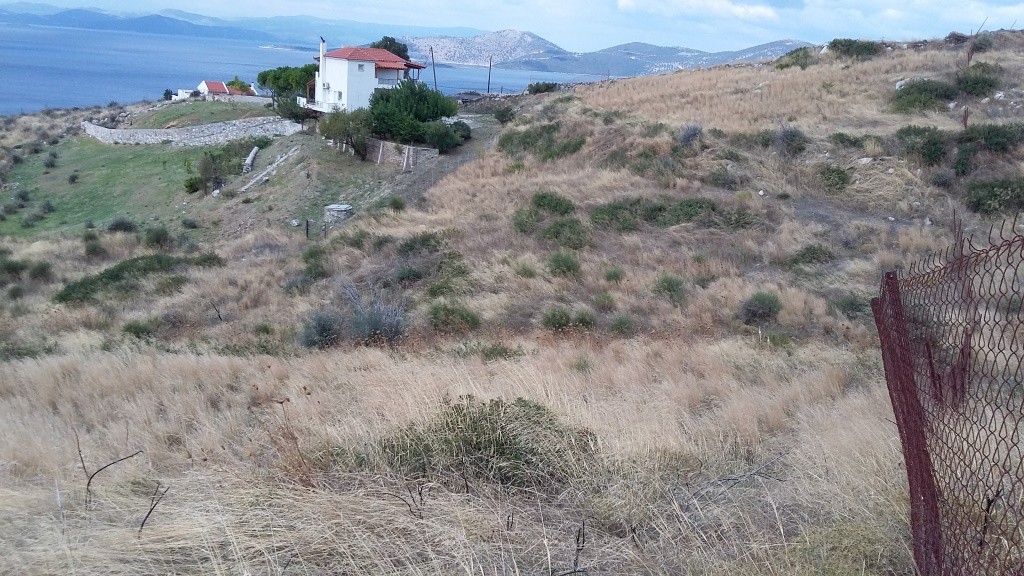 Αγροτεμάχια 5.000 τ.μ. για πώληση, Εύβοια, Στύρα
