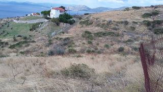 Αγροτεμάχια 5.000 τ.μ. για πώληση