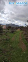 Αγροτεμάχια 4.465 τ.μ. προς πώληση