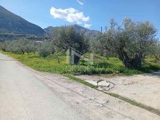Οικόπεδο 2.800 τ.μ. για πώληση