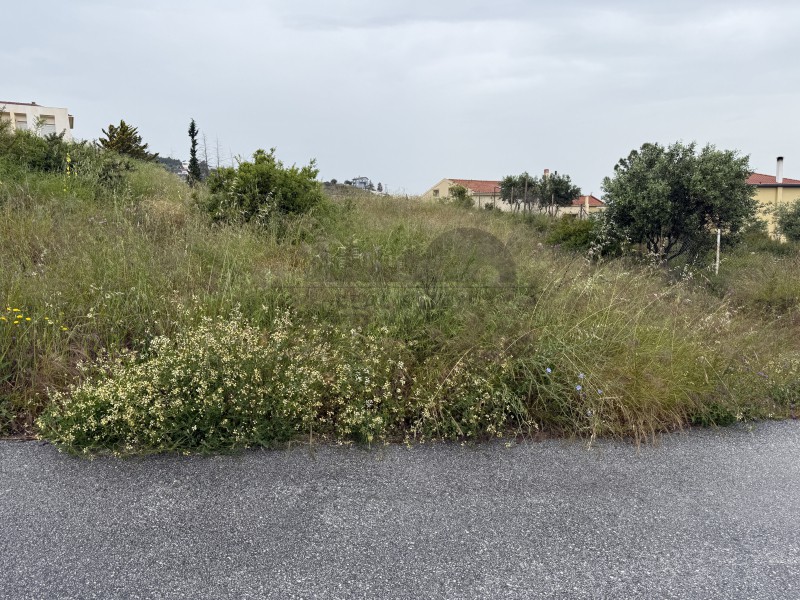 Οικόπεδο 560 τ.μ. πρός πώληση, Μαγνησία, Βόλος