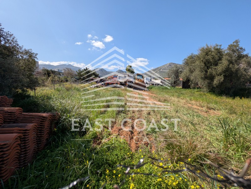 Οικόπεδο 604 τ.μ. πρός πώληση, Αθήνα - Ανατολικά Προάστια, Νέα Μάκρη