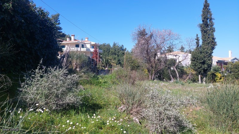 Οικόπεδο 833 τ.μ. προς πώληση, Κέντρο Διονύσου