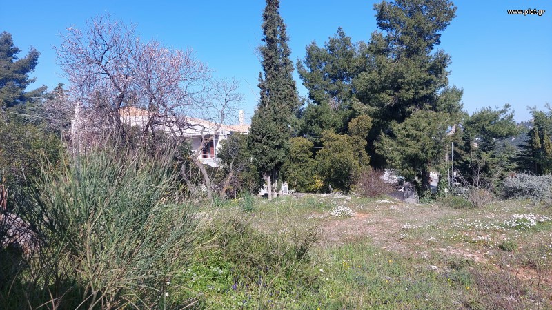 Οικόπεδο 833 τ.μ. προς πώληση, Κέντρο Διονύσου