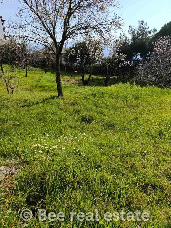 Οικόπεδο 5.062 τ.μ. προς πώληση, Άνω Βόλος