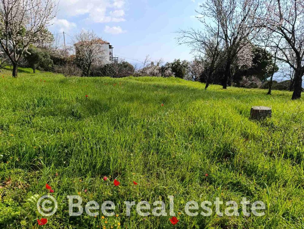 Οικόπεδο 5.062 τ.μ. προς πώληση, Άνω Βόλος