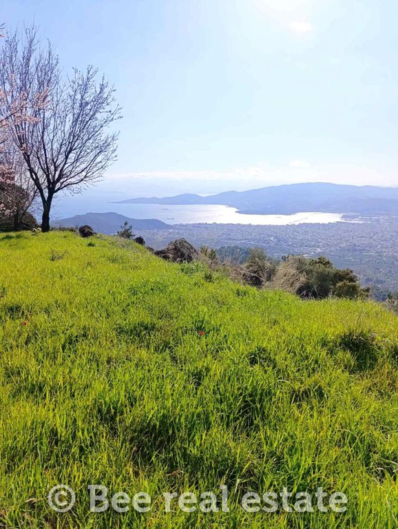 Οικόπεδο 5.062 τ.μ. προς πώληση, Άνω Βόλος