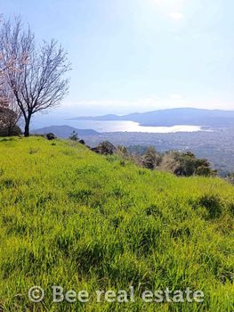 Οικόπεδο 5.062 τ.μ. πρός πώληση