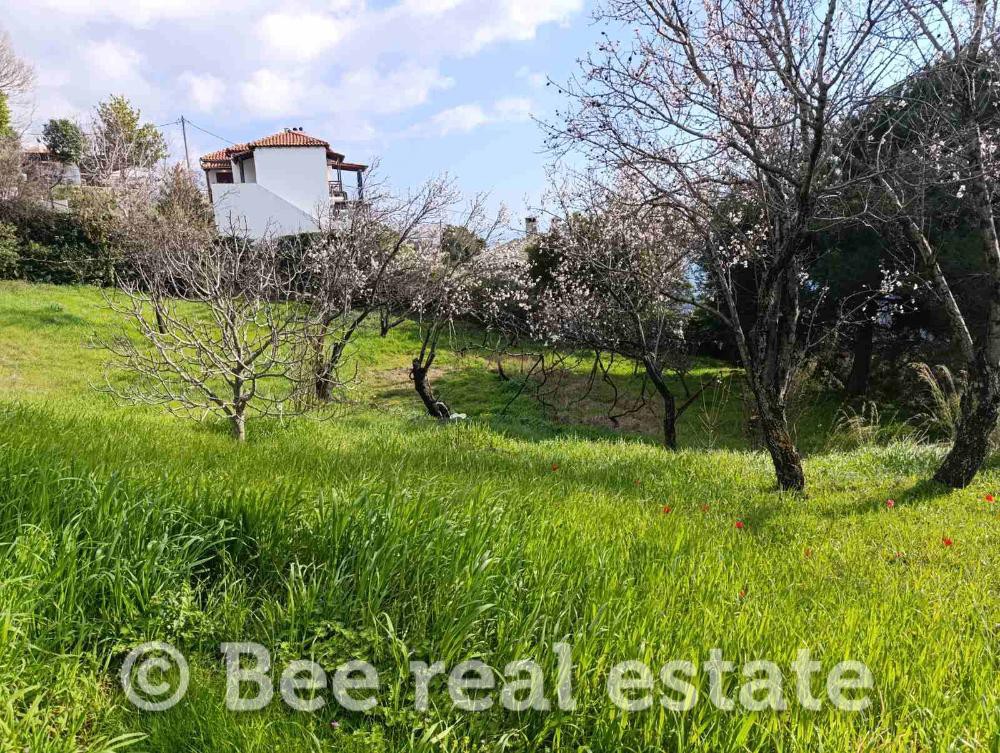 Οικόπεδο 5.062 τ.μ. προς πώληση, Άνω Βόλος