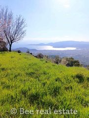 Οικόπεδο 5.062 τ.μ. για πώληση