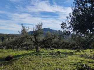 Αγροτεμάχια 15.404 τ.μ. για πώληση, Μεσσηνία, Πύλος-thumb-1