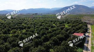 Αγροτεμάχια 6.521 τ.μ. για πώληση, Αργολίδα, Άργος-thumb-24