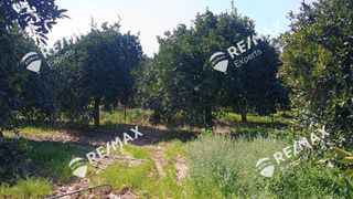 Αγροτεμάχια 6.521 τ.μ. για πώληση, Αργολίδα, Άργος-thumb-2