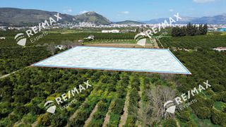 Αγροτεμάχια 6.521 τ.μ. για πώληση, Αργολίδα, Άργος-thumb-10