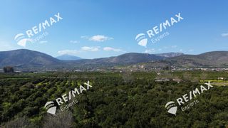 Αγροτεμάχια 6.521 τ.μ. για πώληση, Αργολίδα, Άργος-thumb-11