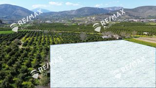 Αγροτεμάχια 6.521 τ.μ. για πώληση, Αργολίδα, Άργος-thumb-1