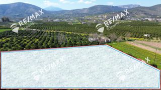 Αγροτεμάχια 6.521 τ.μ. για πώληση, Αργολίδα, Άργος-thumb-8