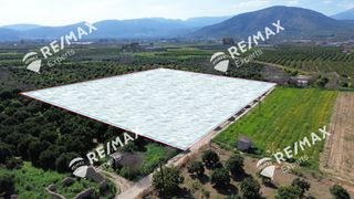 Αγροτεμάχια 6.521 τ.μ. για πώληση, Αργολίδα, Άργος-thumb-19