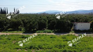 Αγροτεμάχια 6.521 τ.μ. για πώληση, Αργολίδα, Άργος-thumb-15