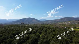 Αγροτεμάχια 6.521 τ.μ. για πώληση, Αργολίδα, Άργος-thumb-6
