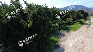 Αγροτεμάχια 6.521 τ.μ. για πώληση, Αργολίδα, Άργος-thumb-25