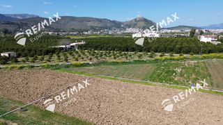 Αγροτεμάχια 6.521 τ.μ. για πώληση, Αργολίδα, Άργος-thumb-23