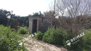 Αγροτεμάχια 6.521 τ.μ. για πώληση