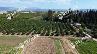 Αγροτεμάχια 6.521 τ.μ. για πώληση, Αργολίδα, Άργος-thumb-4