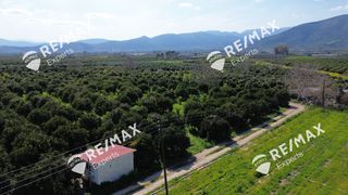 Αγροτεμάχια 6.521 τ.μ. για πώληση, Αργολίδα, Άργος-thumb-21