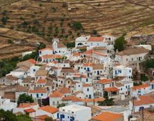 Αγροτεμάχια 4.100 τ.μ. για πώληση