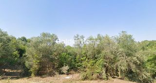 Αγροτεμάχια 7.400 τ.μ. για πώληση