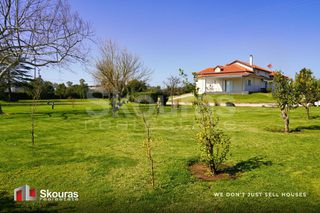 Μονοκατοικία 272 τ.μ. για πώληση, Ν. Ηλείας, Βαρθολομιό-thumb-25