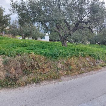 Land plot 731 sqm for sale