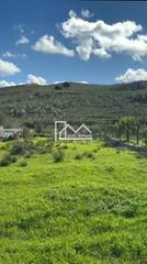 Αγροτεμάχια 905 τ.μ. για πώληση