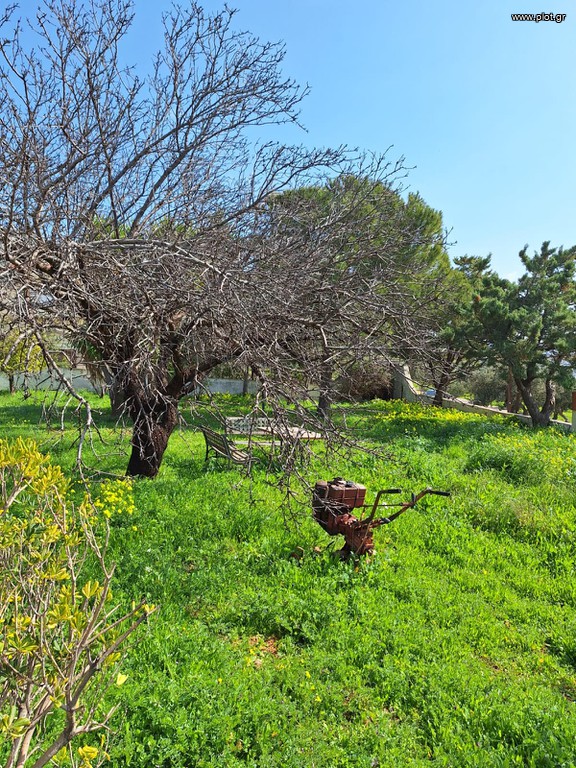 Βίλλα 512 τ.μ. πρός πώληση, Αττική - Υπόλοιπο, Καλύβια Θορικού