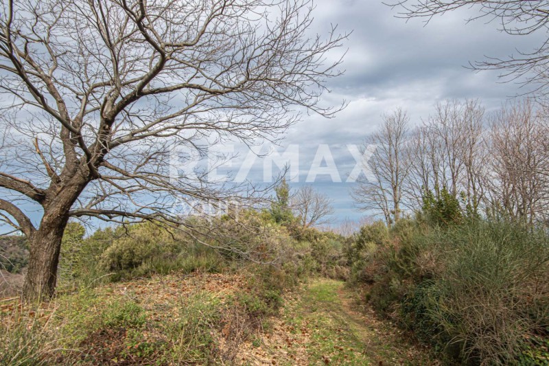 Αγροτεμάχια 1.122 τ.μ. πρός πώληση, Μαγνησία, Μούρεσι
