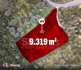 Αγροτεμάχια 9.319 τ.μ. για πώληση, Ν. Λευκάδας, Λευκάδα-thumb-3